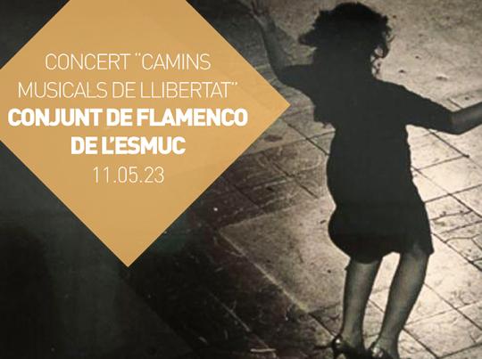 Concert "Conjunt de flamenco de l’ESMUC". 11.05.2023