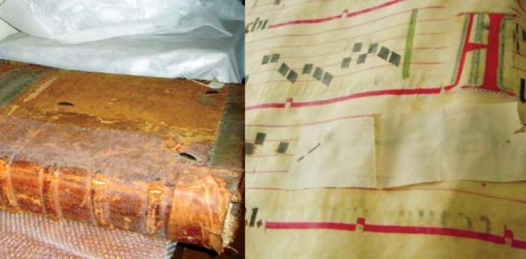 © MHCB–Elvira Gaspar