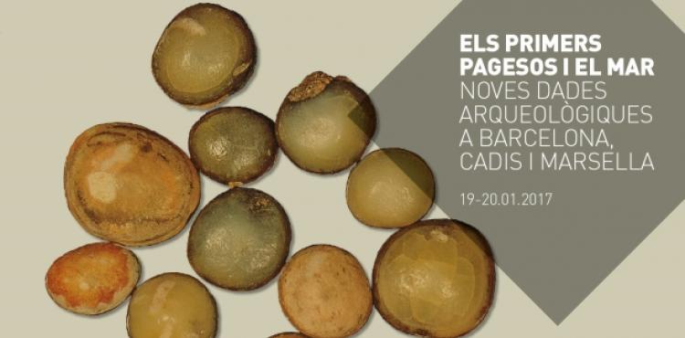 Dents de peixos de la família dels espàrids consumits a la Barcelona neolítica (Caserna de Sant Pau del Camp, 5.500 a.n.e.). Fotografia: Jordi Nadal, UB