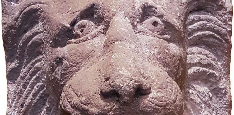 Cap de lleó de la cornisa del temple de Barcino, al carrer del Paradís.