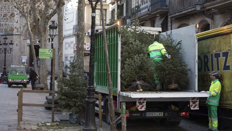 Punto de recogida de aves de Nadal en una calle del distrito de Ciutat Vella