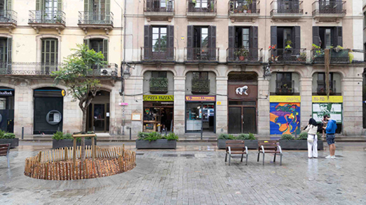 Bancs en un carrer