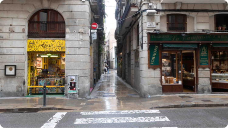 Carrer estret entre botigues