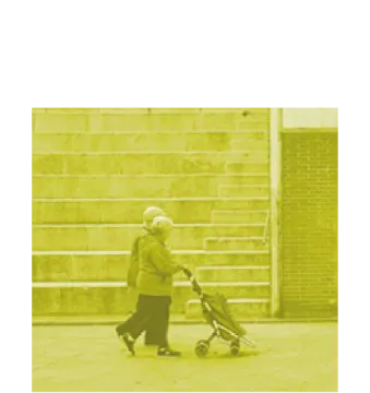 Xifres manca de vegetació