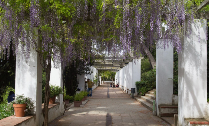 Pérgola con glicinas en los Jardines de Laribal, con personas paseando y sentadas