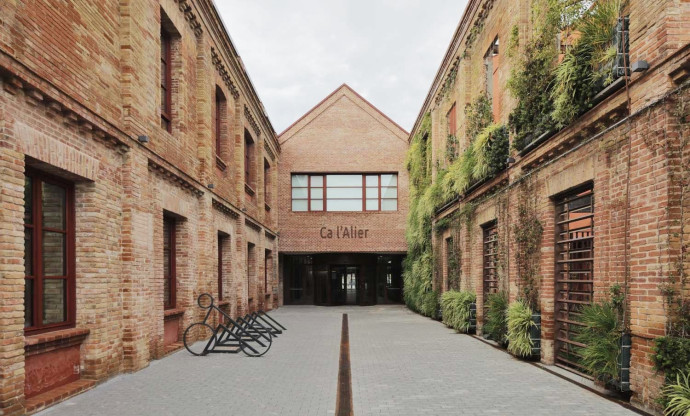 passatge interior d'antic edifici industrial amb vegetació a la façana