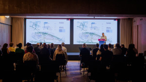 Imatge de l'activitat