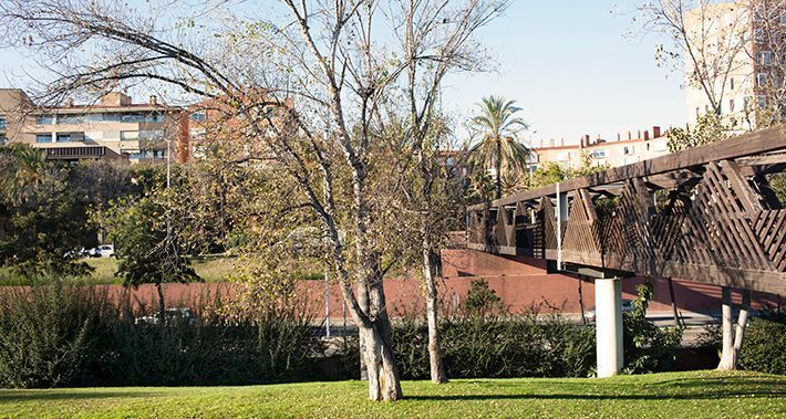 Gespa del parc del Litoral