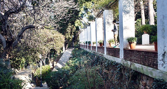 Zona verda amb un noi mirant el parc