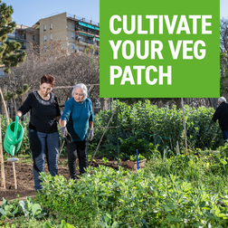 Banner with the text: Cultivate your veg patch