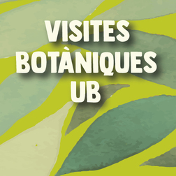Bàner amb el text: Visites botàniques UB