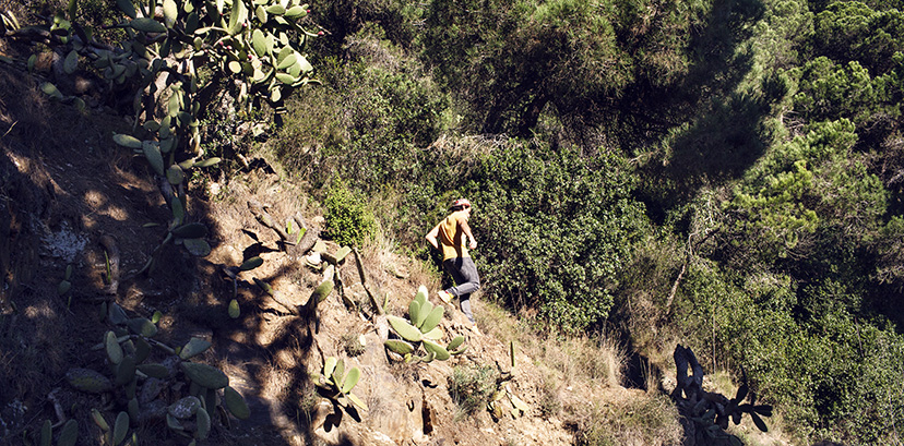 Hombre caminando por una zona boscosa