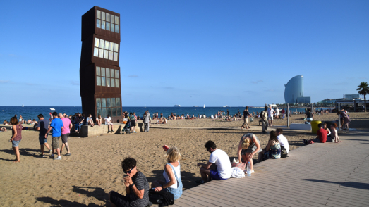 "Estel ferit" a la platja de Sant Miquel "Estel ferit" a la platja de Sant Miquel