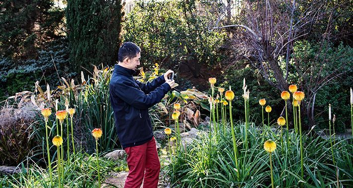Home fent una fotografia de la vegetació d'un parc