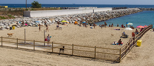 área para ciudadanos con perros en la playa de Llevant.