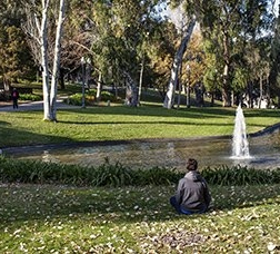Chico sentado en un parque mirando hacia un lago