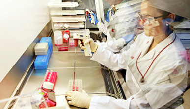 Researchers working on laboratory samples
