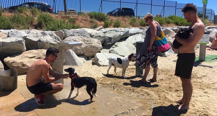 Área para ciudadanos con perros en la playa de Llevant.