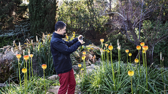 Man taking a photograph of the vegetation in a park 