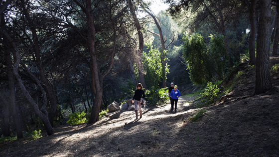 People walking through a wooded area 