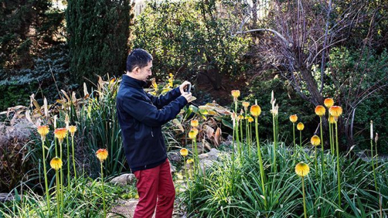 Home fent una fotografia de la vegetació d'un parc
