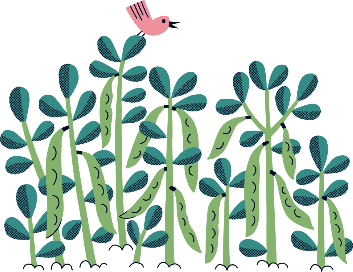Il·lustració de vegetació i un ocell