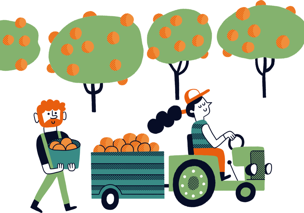 Il·lustració d'un camp de taronges amb dos personatges que en traginen: a mà i en un tractor