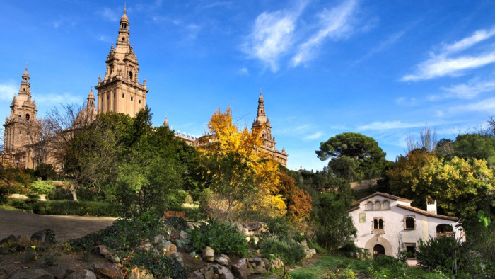 Jardí Botànic Històric