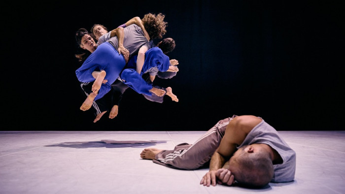 CÈL·LULA #6: Faula