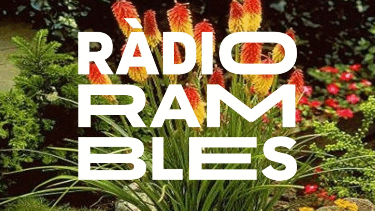 Festa del Roser 2023: Magazine Cultural Ràdio Rambles