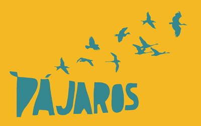 Radio Pájaros