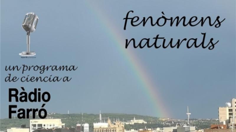 Fenòmens naturals - Naturalistes morts, d'Anna Aguilar-Amat